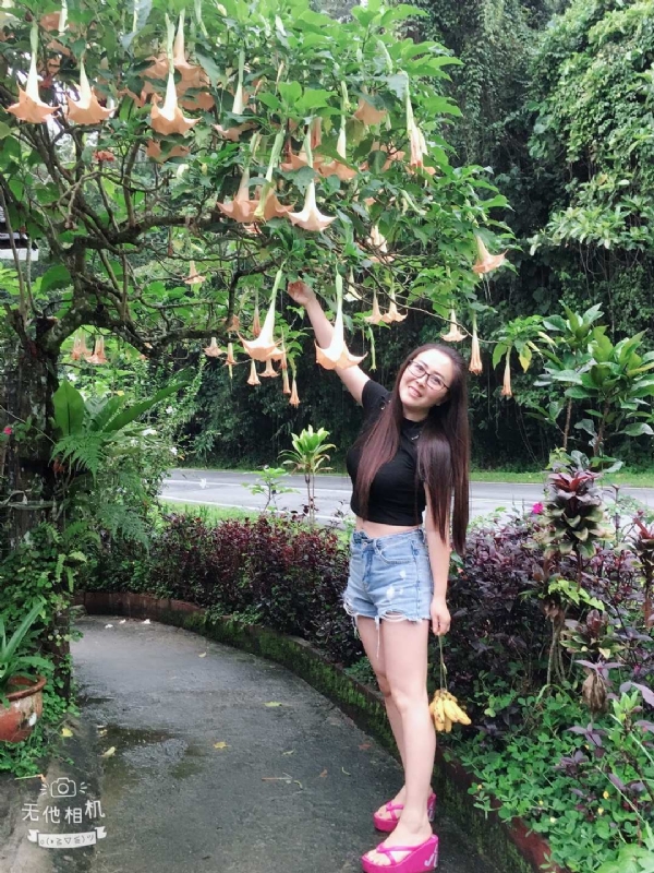 离异单身无子的第二张照片--周口相亲服务中心