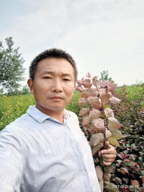 孩子爸的第二张照片--周口相亲服务中心
